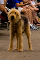 ISO 1600, 1/640 sec at f / 9.0, 320 mm