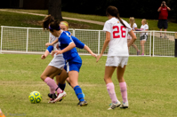 ISO 1600, 1/640 sec at f / 9.0, 230 mm