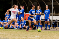 ISO 1600, 1/640 sec at f / 7.1, 300 mm