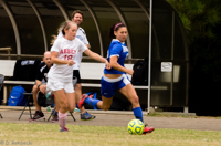 ISO 1600, 1/640 sec at f / 7.1, 300 mm