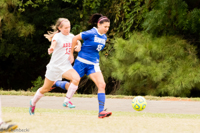 ISO 1600, 1/500 sec at f / 5.6, 300 mm