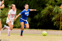 ISO 1600, 1/640 sec at f / 6.3, 300 mm