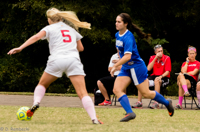 ISO 1600, 1/640 sec at f / 7.1, 300 mm