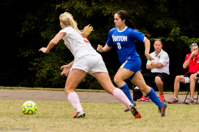 ISO 1600, 1/640 sec at f / 7.1, 300 mm