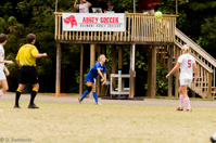 ISO 1600, 1/640 sec at f / 7.1, 270 mm