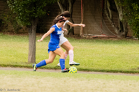 ISO 1600, 1/640 sec at f / 5.6, 300 mm