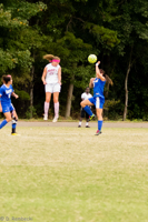 ISO 1600, 1/1000 sec at f / 4.5, 130 mm