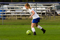 ISO 1000, 1/800 sec at f / 5.6, 270 mm