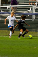 ISO 1000, 1/800 sec at f / 5.6, 270 mm