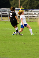 ISO 1000, 1/800 sec at f / 4.5, 120 mm