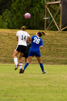 ISO 2000, 1/3200 sec at f / 5.6, 140 mm