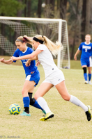 ISO 2000, 1/500 sec at f / 5.6, 240 mm