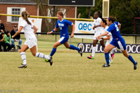 ISO 2000, 1/1000 sec at f / 5.6, 240 mm