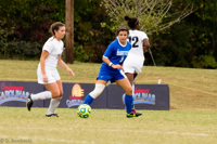 ISO 2000, 1/800 sec at f / 6.3, 290 mm