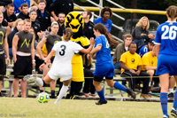 ISO 2000, 1/640 sec at f / 5.6, 240 mm