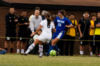 ISO 2000, 1/1600 sec at f / 5.6, 240 mm