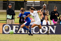 ISO 2000, 1/1000 sec at f / 5.6, 240 mm