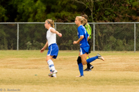 ISO 800, 1/1000 sec at f / 6.3, 290 mm