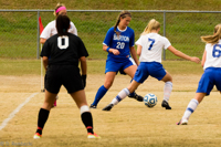 ISO 800, 1/1250 sec at f / 5.6, 240 mm