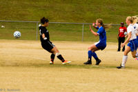 ISO 800, 1/1600 sec at f / 5.6, 140 mm