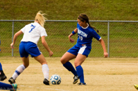 ISO 800, 1/1250 sec at f / 6.3, 290 mm