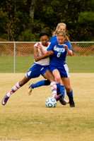 ISO 800, 1/640 sec at f / 5.6, 240 mm