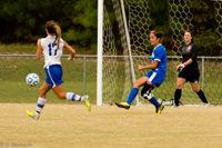 ISO 800, 1/800 sec at f / 6.3, 330 mm