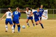 ISO 800, 1/800 sec at f / 6.3, 290 mm