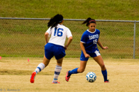 ISO 800, 1/1000 sec at f / 6.3, 290 mm