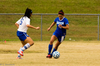 ISO 800, 1/1000 sec at f / 6.3, 290 mm