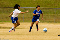 ISO 800, 1/1000 sec at f / 6.3, 290 mm