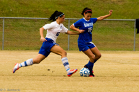 ISO 800, 1/1000 sec at f / 6.3, 290 mm