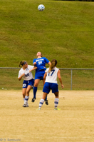 ISO 800, 1/1250 sec at f / 5.6, 140 mm