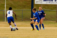 ISO 1250, 1/800 sec at f / 6.3, 290 mm