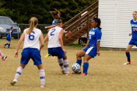 ISO 2000, 1/1600 sec at f / 5.6, 140 mm