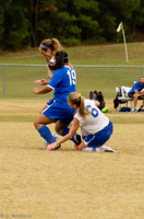 ISO 2000, 1/1250 sec at f / 5.6, 140 mm