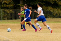 ISO 2000, 1/1000 sec at f / 5.6, 240 mm