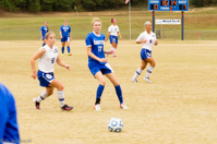 ISO 2000, 1/1600 sec at f / 4.5, 65 mm