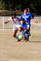 ISO 800, 1/5000 sec at f / 7.1, 290 mm