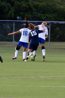 ISO 640, 1/160 sec at f / 5.0, 200 mm