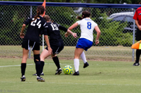 ISO 1000, 1/500 sec at f / 5.6, 270 mm