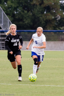 ISO 1000, 1/400 sec at f / 5.6, 230 mm