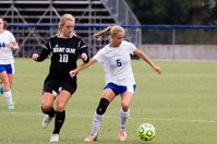 ISO 1000, 1/500 sec at f / 5.6, 230 mm