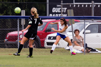 ISO 1000, 1/500 sec at f / 5.6, 270 mm