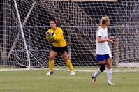 ISO 1000, 1/500 sec at f / 5.6, 250 mm