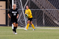 ISO 1000, 1/500 sec at f / 5.6, 250 mm