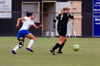 ISO 1000, 1/500 sec at f / 5.6, 250 mm