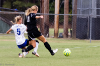 ISO 1000, 1/400 sec at f / 5.6, 210 mm