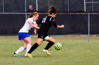 ISO 1000, 1/500 sec at f / 5.6, 320 mm