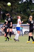 ISO 1000, 1/400 sec at f / 5.6, 250 mm